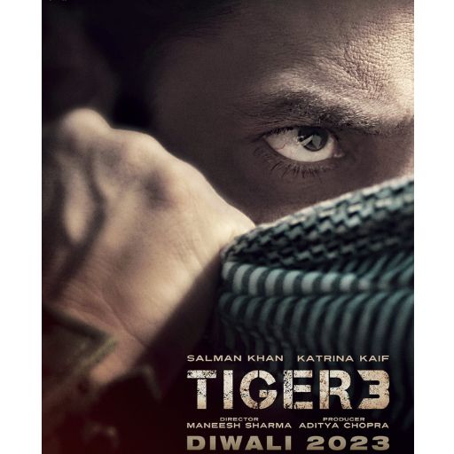 Tiger 3 Movie OTT Release Date – OTT Platform Name