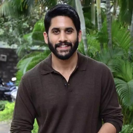 Naga Chaitanya Hits And Flops Movies List 