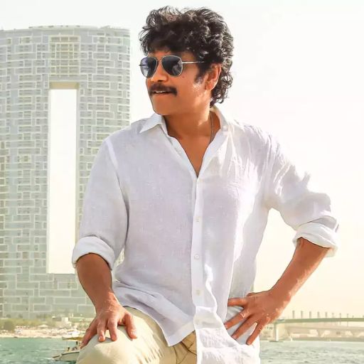 Nagarjuna Hits And Flops Movies List