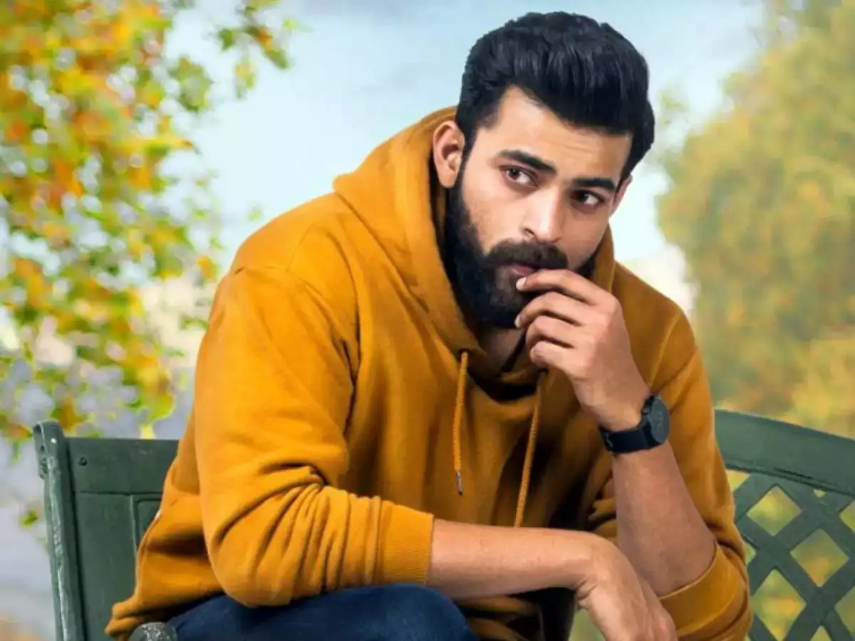 Varun Tej Hits And Flops Movies List 