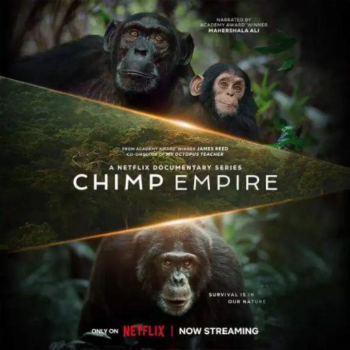 Chimp Empire Movie OTT Release Date – Chimp Empire OTT Platform Name