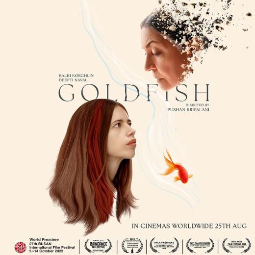 Transfer meeting for the OTT film Goldfish – Goldfish Internet Program Name